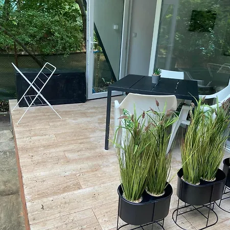 营地 албатрос