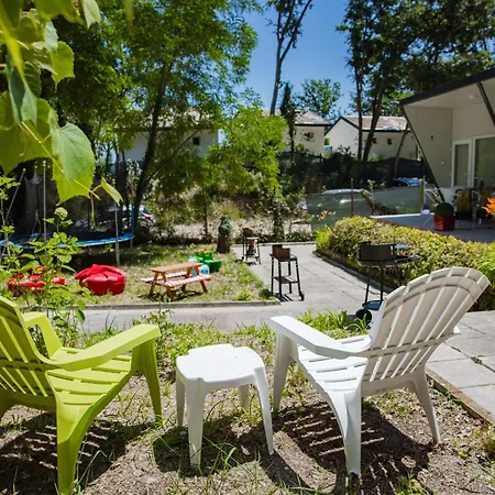 营地 албатрос *