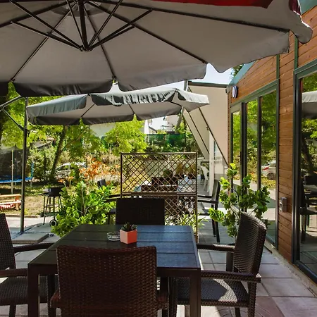 营地 албатрос